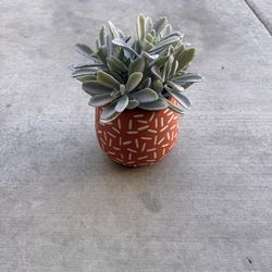 Deco Clay Flower Pot