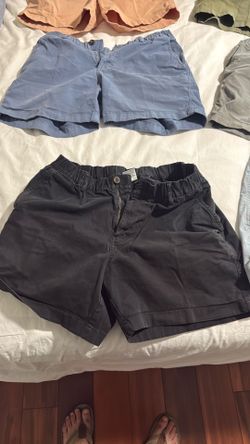 Bear bottom Shorts Size L, 5.5 Inch Inseam