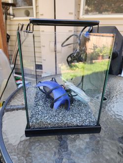 Fish tank