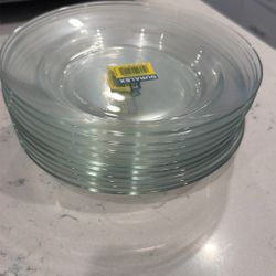 Glass Plates 