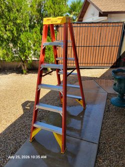 Warner 6 ft twin step ladder