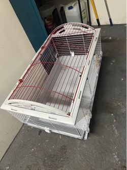 Rabbit cage