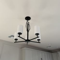 Matte Black Light Fixture Modern/contemporary