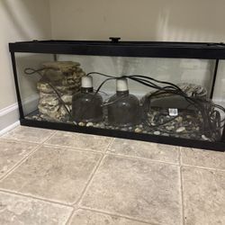 Turtle Tank
