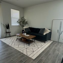 Mid Century modern sofa