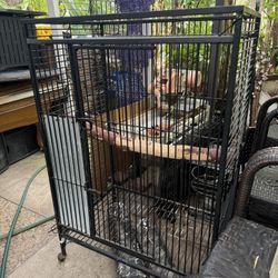 Large Steel Parrot Or Large Bird Cage