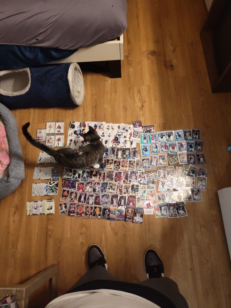 Playing Cards