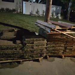Free Sod/Grass