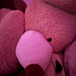 Huge human size teddy bear