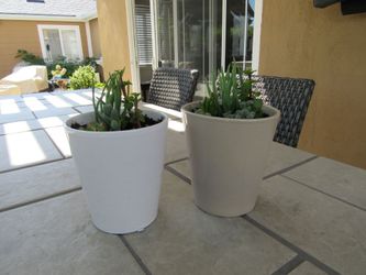 Set Of Tan & White Garden Pots With Succulents