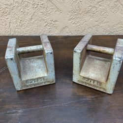 50 lbs Test Scale Weights Pair