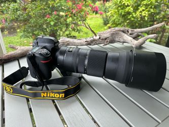Nikon Camera D780 DSLR with a Sigma 150-600 mm F/5-6.3 DG OS HSM Lens