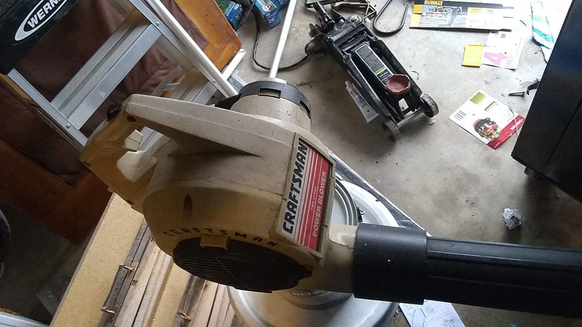 Leaf blower electric