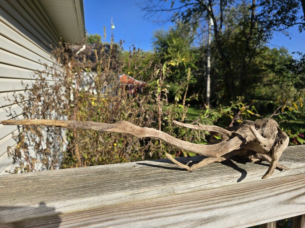 One Large Driftwood Piece (Baked For Aquarium Use Or Home Decor)