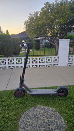 Adult electric scooter