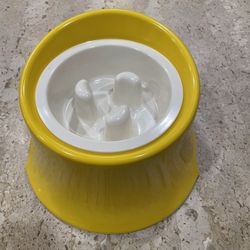 Raised Dog Bowl For Medium Size 2 Pcs Set 