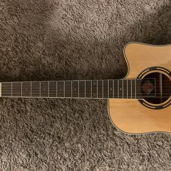 Dynamo 12 string guitar