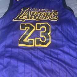 LeBron James LA Lakers Purple “Statement Edition” Jersey