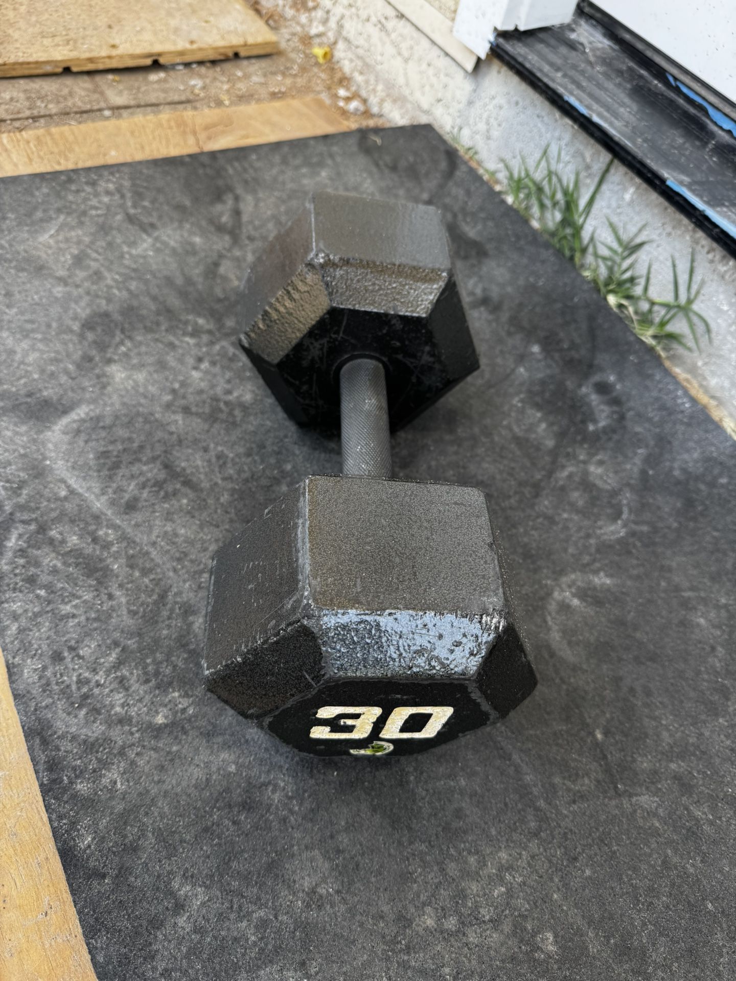 30lbs Dumbbell Weights