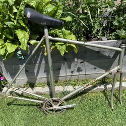Freschi Rare Handmade Italian Roadbike-62 cm