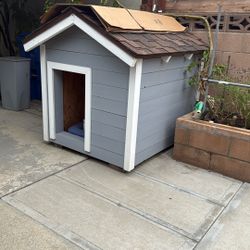 Dog House 