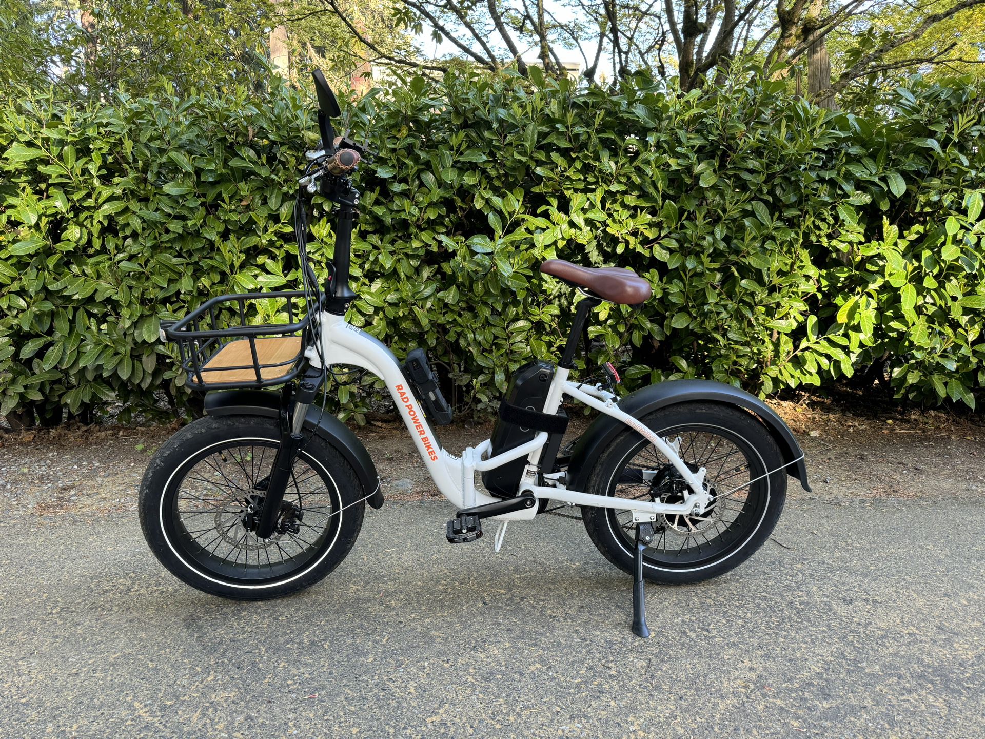 Electric Bike - Foldable Rad Power Bike