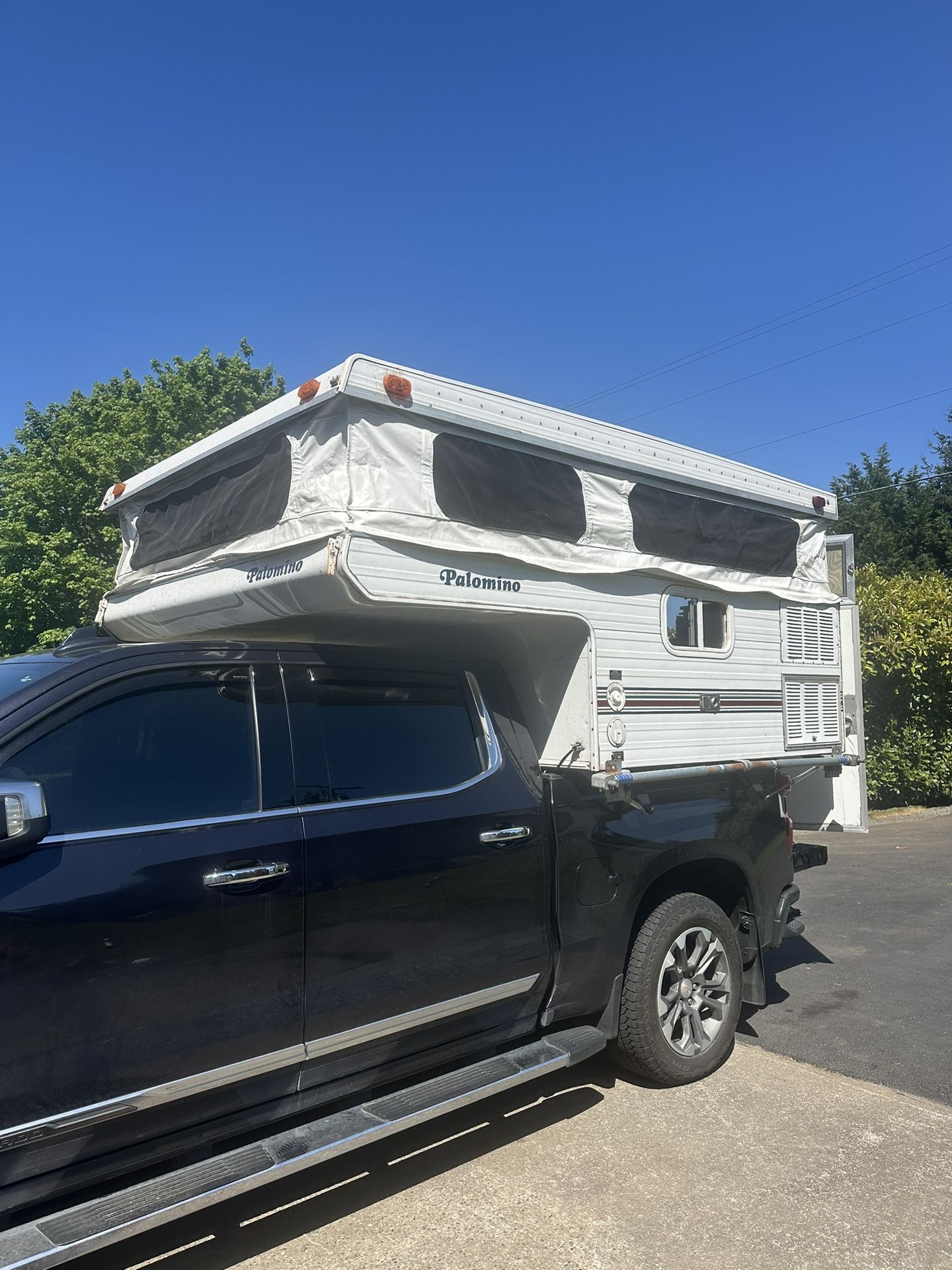 1998 Palomino B800