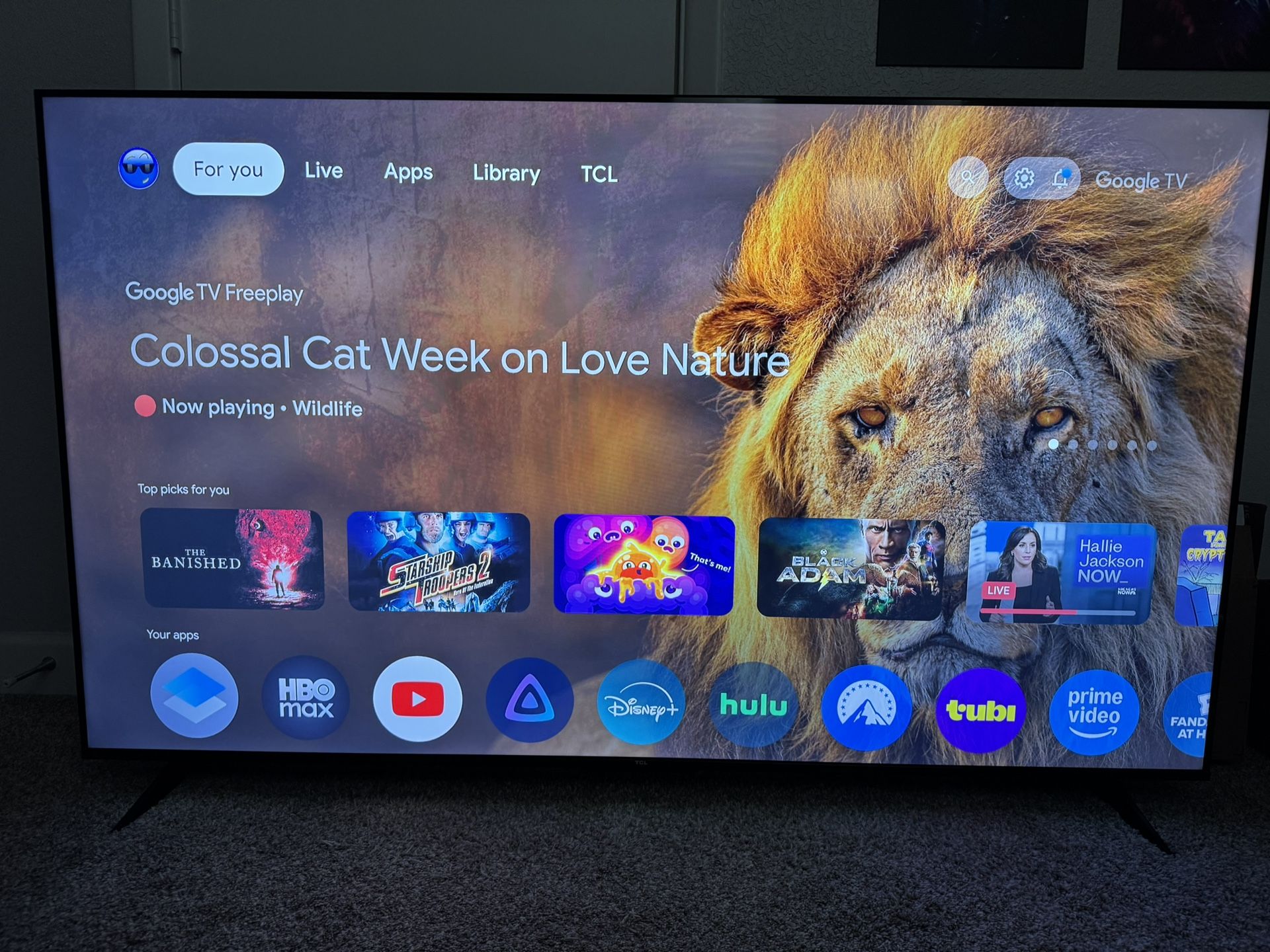 TCL 65" Q Class QLED 4k UHD HDR Smart Google TV With Bestisan Soundbar