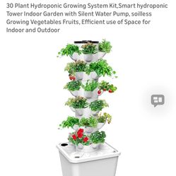 30 Growing Hydroponics Plant Kit