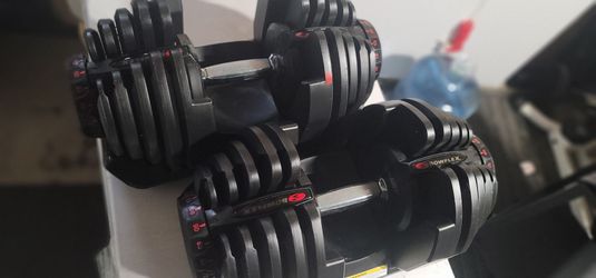 Bowflex 1090 (10 to 90lbs)