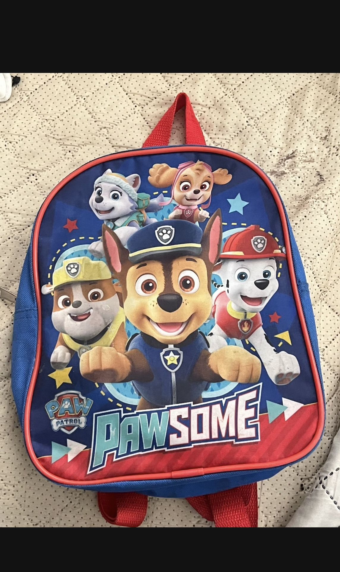Mochilita De Paw Patrol En Buenas Condiciones $10