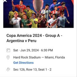 Copa America Arg-Peru