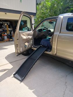 Plastic Pet Ramp Folding for vehicles