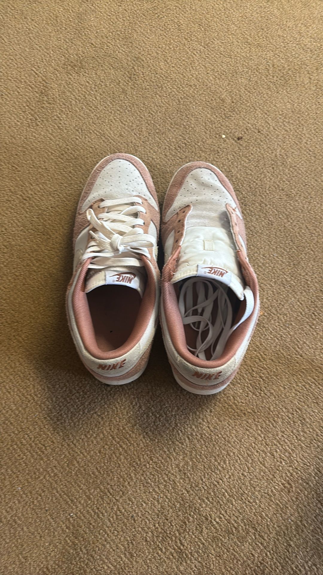 Nike Curry Dunks