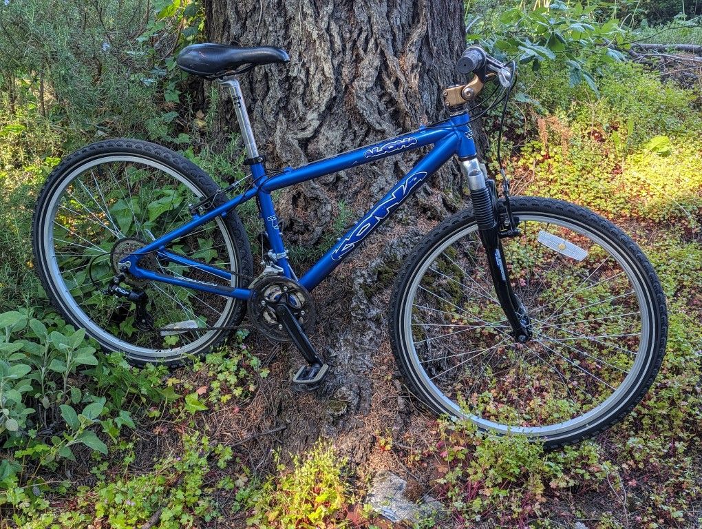 Kona Aloha 21 Speed Hybrid/Mountain Bike Size Small