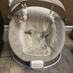 Baby Bouncer 