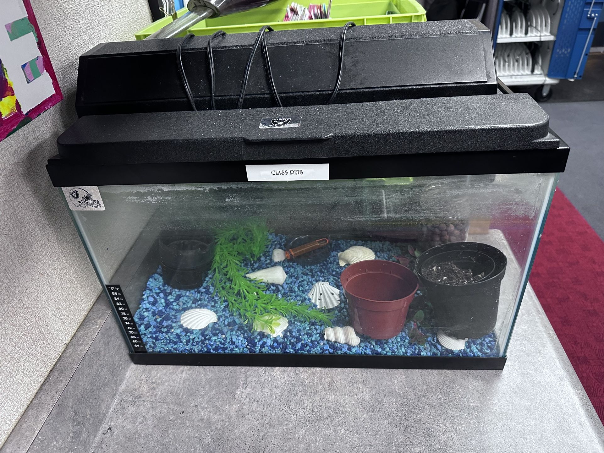 Fish Tank