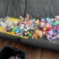 Beanie babies very negotiable 
