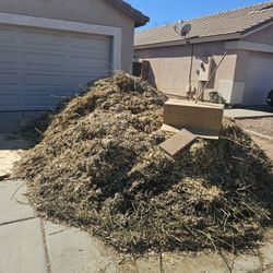 Free  Mulch / Chip Drop