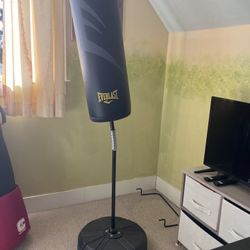 Everlast Punching bag