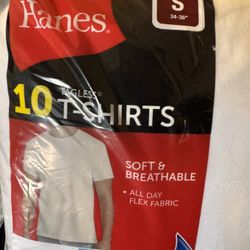Hanes T-Shirts 10pk