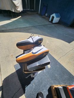 Nike mamba focus. Size fifteen
