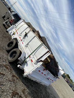 Tree Trunks For Sale