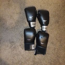 Everlast Boxing Gloves 