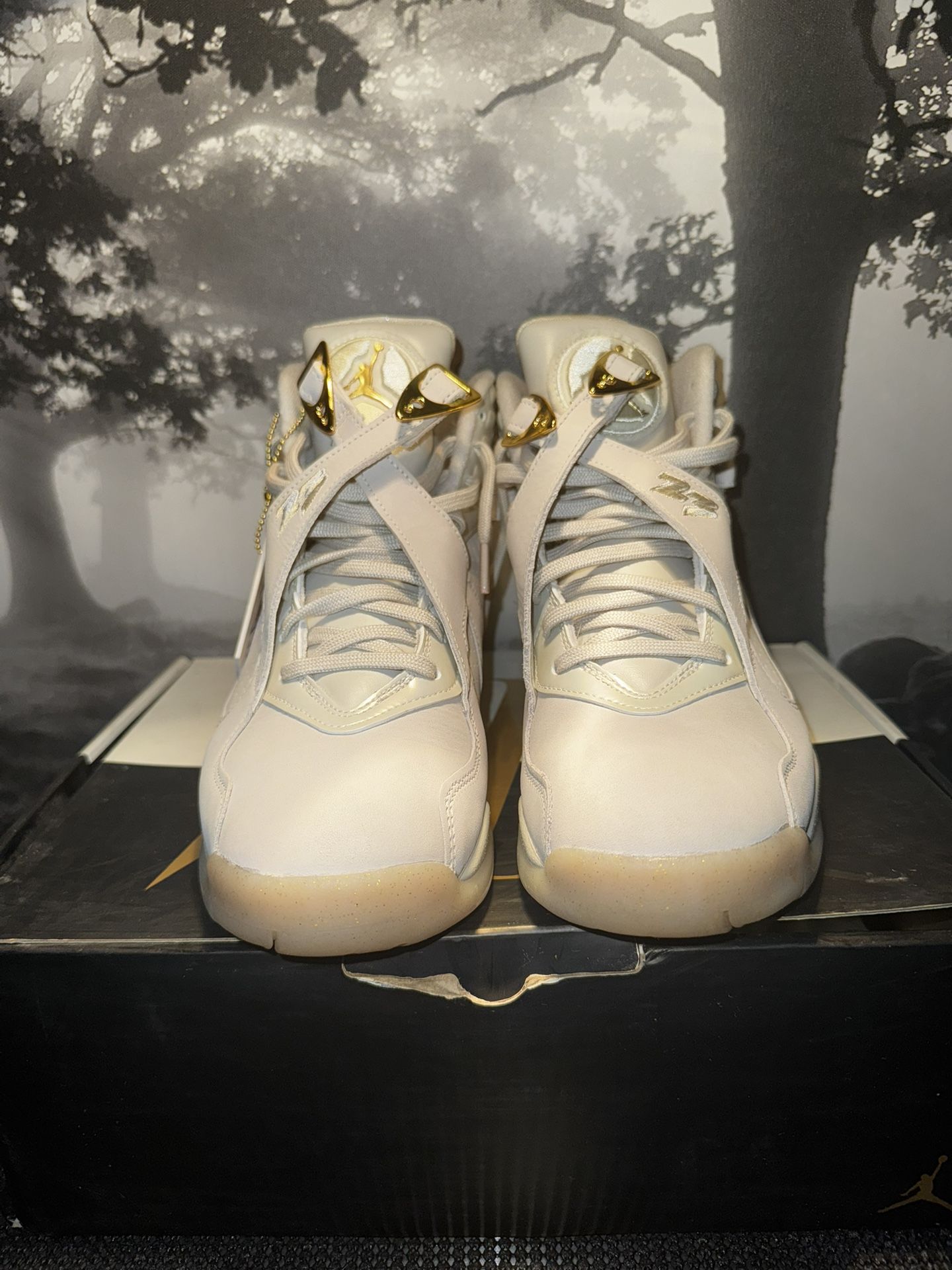 AIR JORDAN 8s RETRO C&C Size 9
