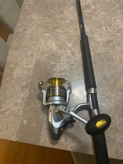 Fishing Rod n reel