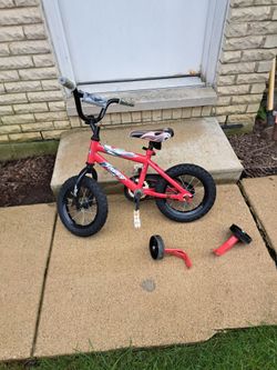 Bicycle.  Kids first bike.