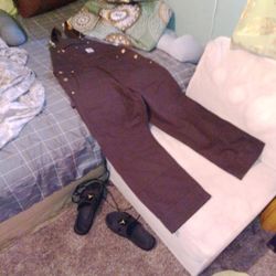 Brand New Carhartt Overall 