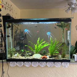Fishtank/aquarium