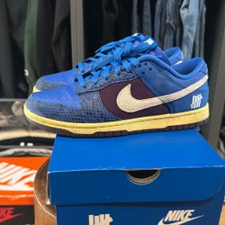 Nike Dunk Undefeated 5 On It